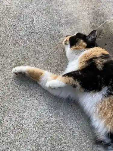 西泉寺(福島県)