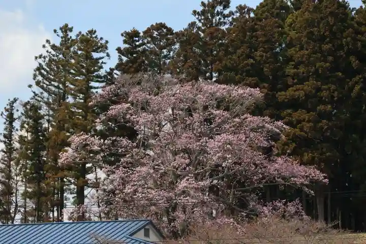 長屋神社の自然