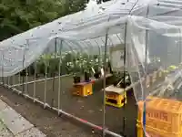 青海神社(新潟県)