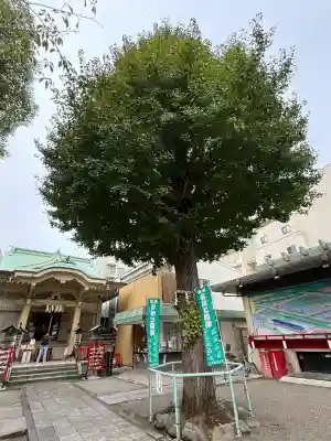 矢先稲荷神社(東京都)