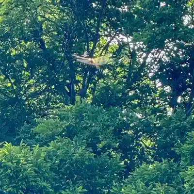 伊勢の国 四天王寺(三重県)