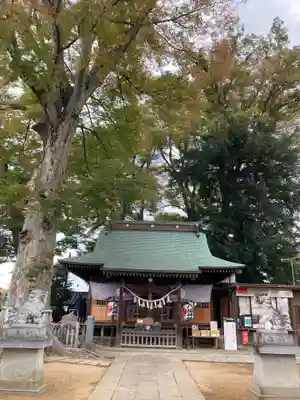 守谷総鎮守 八坂神社(茨城県)