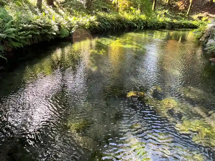 白川吉見神社(熊本県)