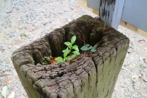 賀茂別雷神社（上賀茂神社）(京都府)