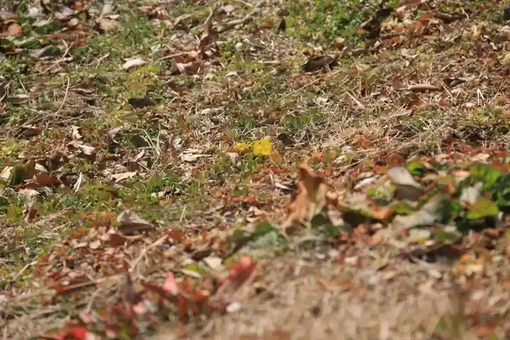 長屋神社の自然