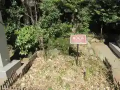 埼玉縣護國神社(埼玉県)