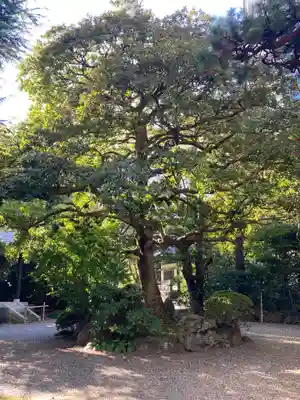 天徳寺の自然