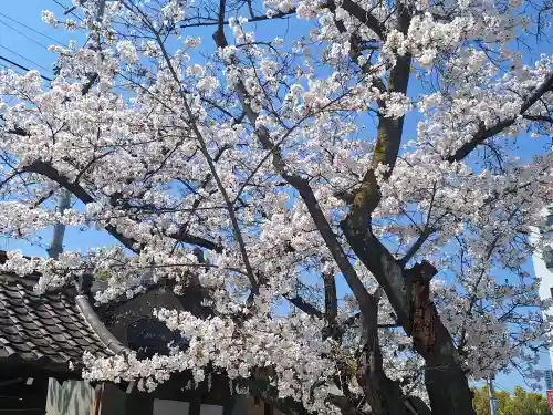 櫻宮(大阪府)