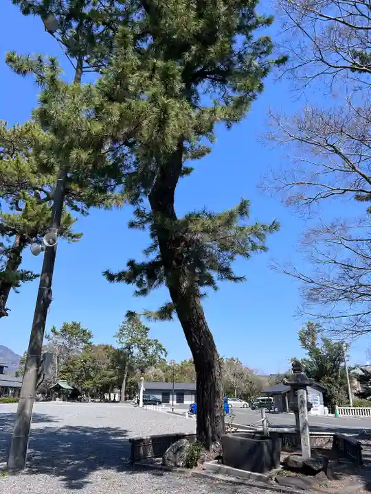 焼津神社(静岡県)
