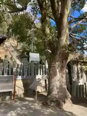 水尾神社(兵庫県)