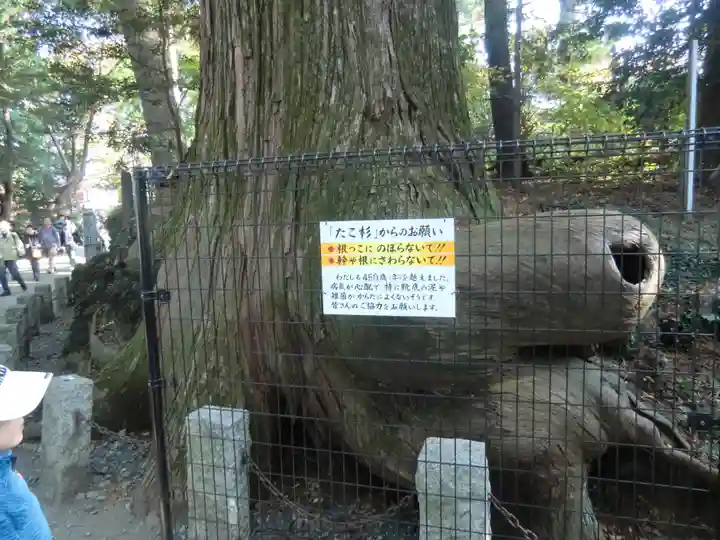 高尾山薬王院(東京都)