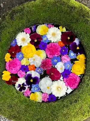 菅生神社(愛知県)