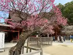 太宰府天満宮の庭園