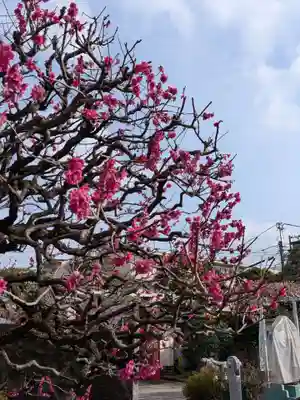 長善寺(東京都)