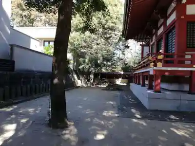 柏諏訪神社の本殿・本堂