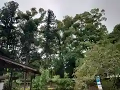 小御門神社(千葉県)