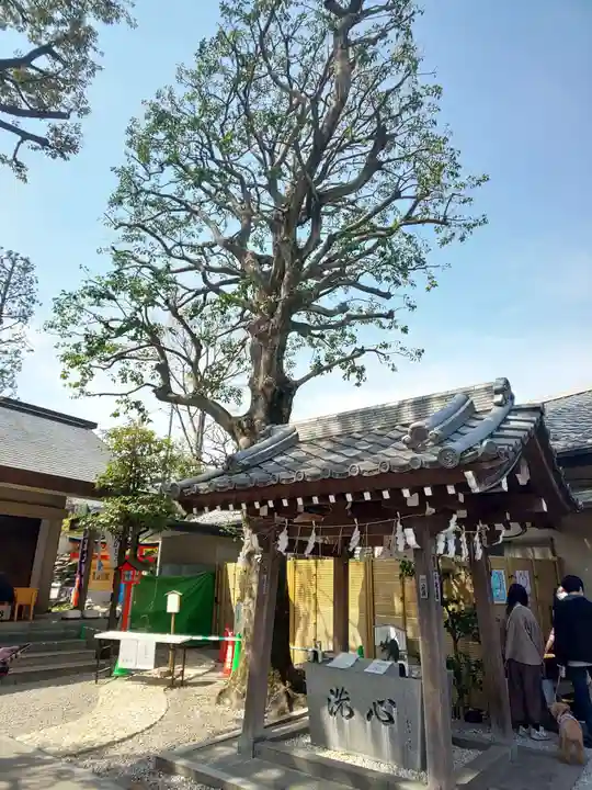 蛇窪神社の手水舎