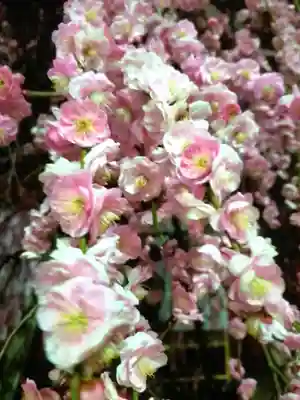 成願寺(東京都)