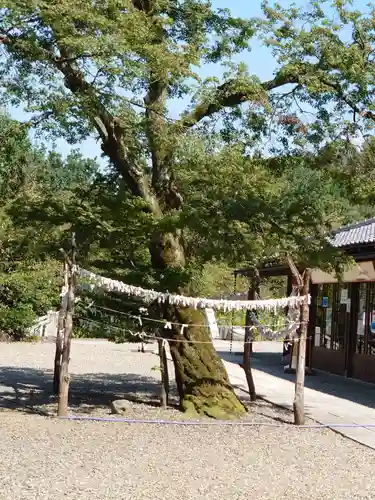 達磨寺のその他建物