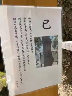 芳川神社(埼玉県)