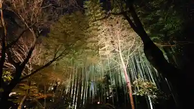 高台寺（高台寿聖禅寺・高臺寺）(京都府)