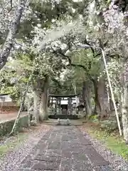 山家神社の建物その他