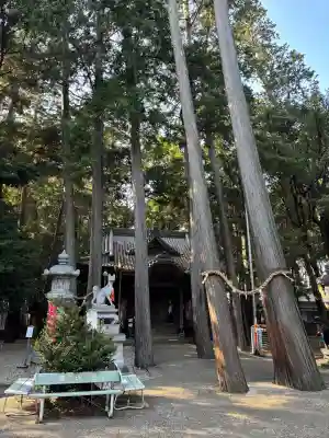 豊川閣　妙厳寺の{uncategorized: "未分類", other: "その他", undefined: "問題あり", building: "その他建物", grave: "お墓", sacred_gate: "鳥居", guardian: "狛犬", statue: "像", buddha: "仏像", history: "歴史", nature: "自然", garden: "庭園", animal: "動物", pagoda: "塔", temizu: "手水舎", mountain_gate: "山門・神門", sanctuary: "本殿・本堂", subordinate: "末社・摂社", art: "芸術", scenery: "景色", jizo: "地蔵", ema: "絵馬", goshuin: "御朱印", omikuji: "おみくじ", items: "授与品その他", amulet: "お守り", goshuincho: "御朱印帳", eats: "食事", festival: "お祭り", votive_dance: "神楽", shichigosan: "七五三参", wedding: "結婚式", experience: "体験その他", initially: "初詣", around: "周辺", anti_infection: "感染症対策"}