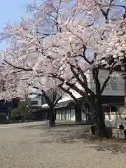 浄土宗南命山善光寺の自然