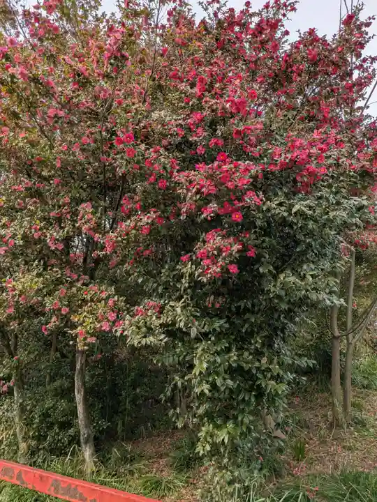 金丸稲荷大明神(岐阜県)