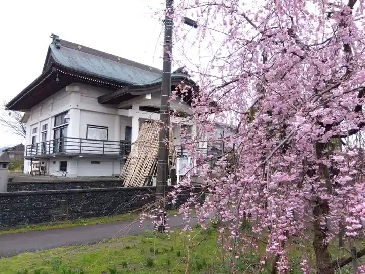 善導寺(新潟県)