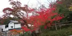 鍬山神社の自然