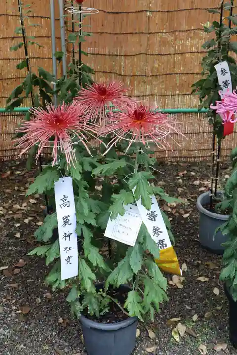 高麗神社のその他建物
