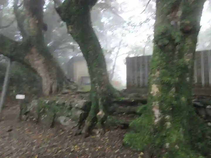 最御崎寺(高知県)