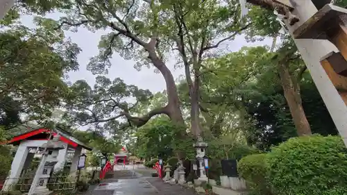 米之宮浅間神社の自然