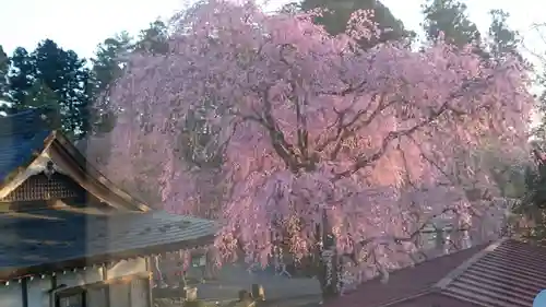 赤門の寺　法蔵寺(栃木県)