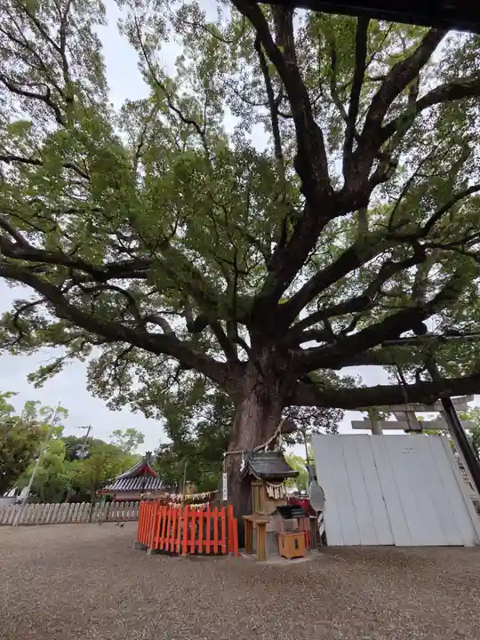 百舌鳥八幡宮(大阪府)