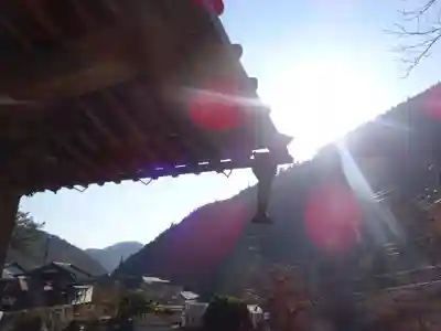 日蓮宗 総本山 塔頭 定林坊(じょうりんぼう)の周辺