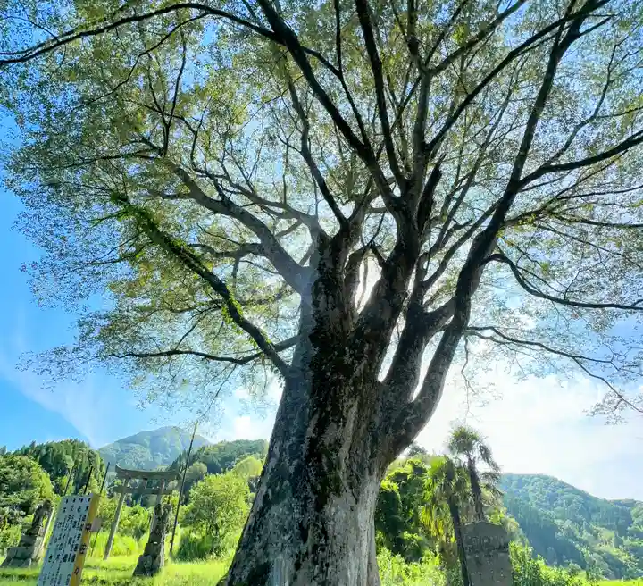 三嶽神社(京都府)