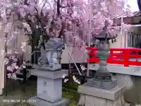 三社神社の{uncategorized: "未分類", other: "その他", undefined: "問題あり", building: "その他建物", grave: "お墓", sacred_gate: "鳥居", guardian: "狛犬", statue: "像", buddha: "仏像", history: "歴史", nature: "自然", garden: "庭園", animal: "動物", pagoda: "塔", temizu: "手水舎", mountain_gate: "山門・神門", sanctuary: "本殿・本堂", subordinate: "末社・摂社", art: "芸術", scenery: "景色", jizo: "地蔵", ema: "絵馬", goshuin: "御朱印", omikuji: "おみくじ", items: "授与品その他", amulet: "お守り", goshuincho: "御朱印帳", eats: "食事", festival: "お祭り", votive_dance: "神楽", shichigosan: "七五三参", wedding: "結婚式", experience: "体験その他", initially: "初詣", around: "周辺", anti_infection: "感染症対策"}