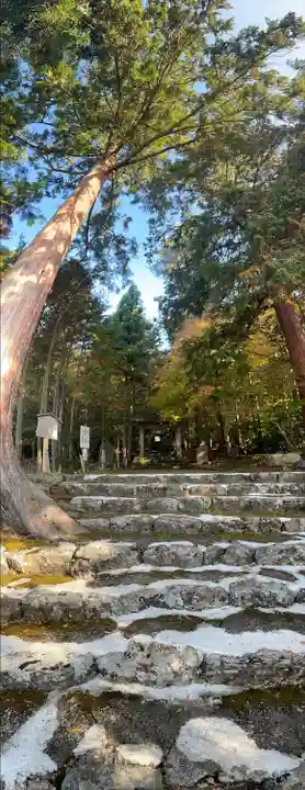 常照皇寺(京都府)