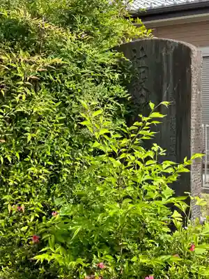 久伊豆神社の自然