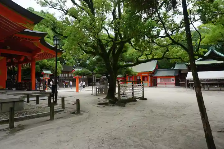 住吉神社のその他建物