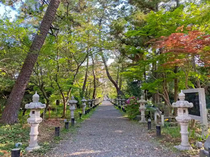 鶴嶺八幡宮の自然