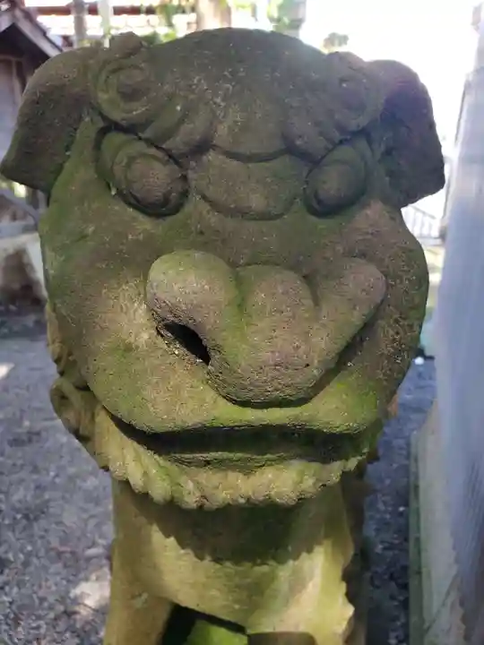菟橋神社の狛犬
