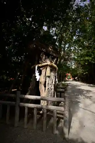 賀茂御祖神社（下鴨神社）の自然
