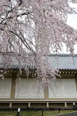 醍醐寺(京都府)