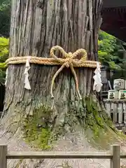 北口本宮冨士浅間神社の建物その他