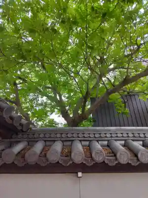 浄國寺(浄国寺)の自然