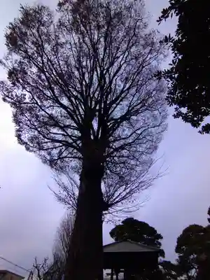 光明院(東京都)