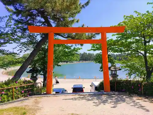 津島神社の鳥居